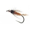 LARVA - HYDROPSYCHE