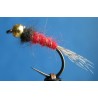 Goldkop red - dubing