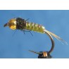 Goldkop Light Olive – bodyglass