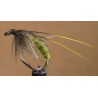Olive sedge pupa