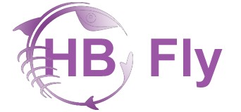 HBfly
